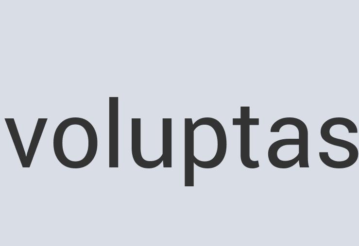 Durable Paper Wolf Wear