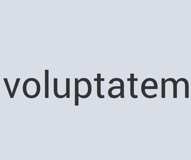 Durable Granite Furnichorizo