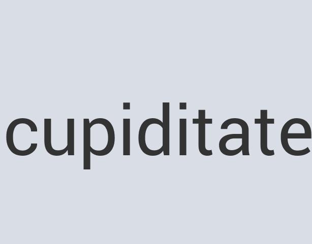 Durable Granite Aftertizer