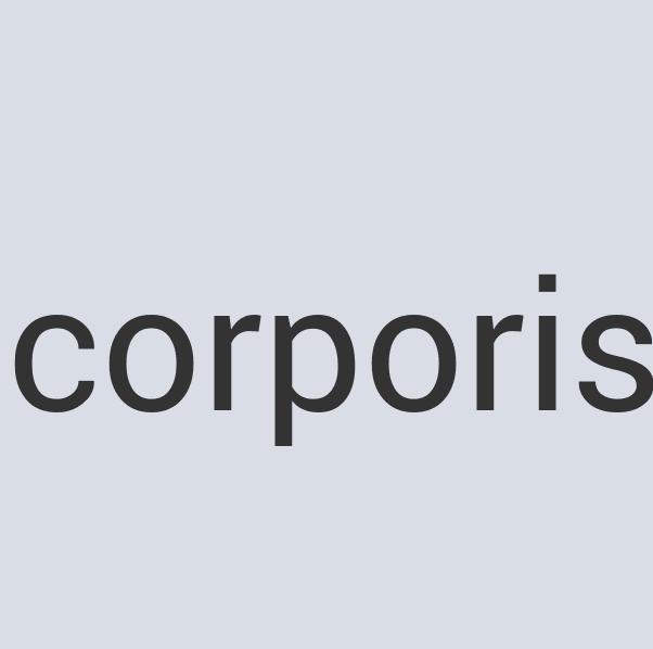 Small Plastic Darwin 911