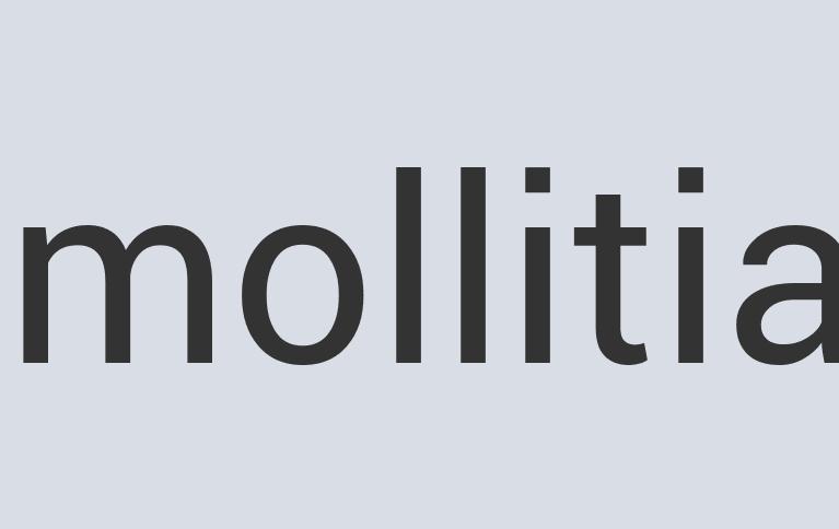 Aerodynamic Bronze Stelaecor