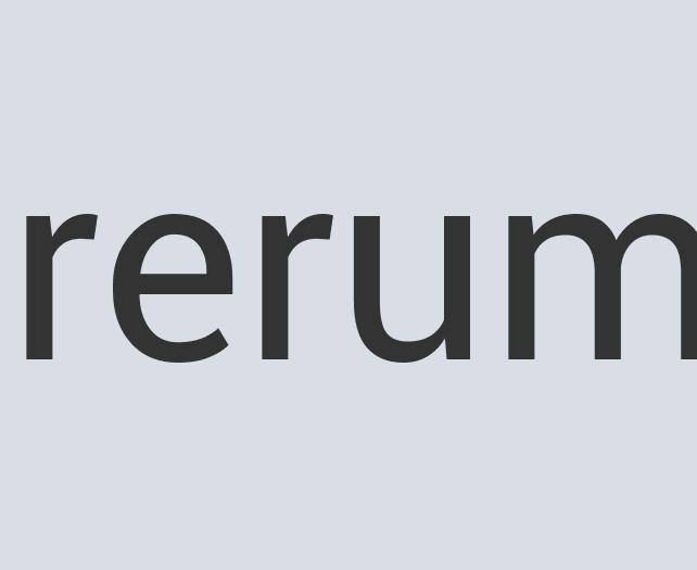 Aerodynamic Bronze Flying Tortoise