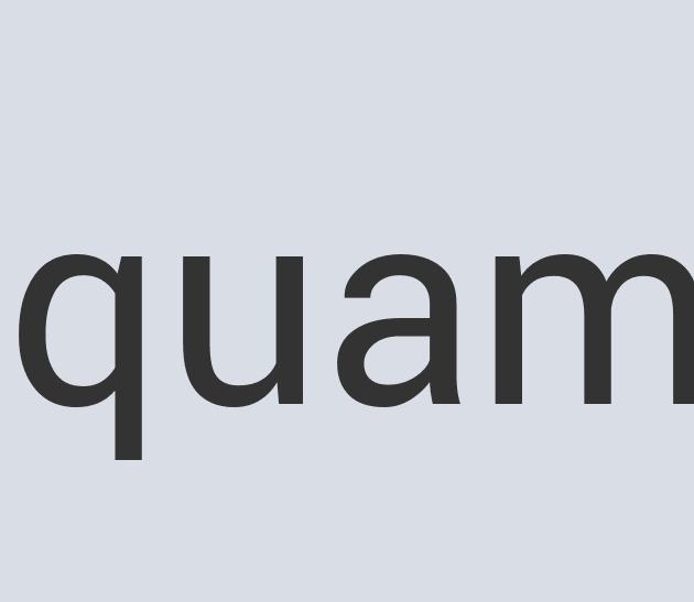 Awesome Concrete Paws’n Rest