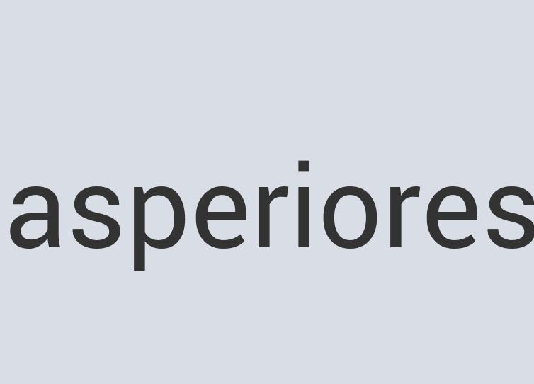 Ergonomic Granite Bronte Thesaurus