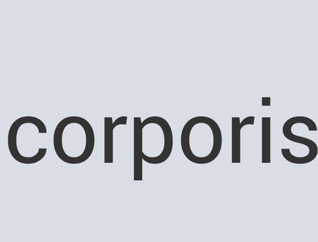 Practical Silk Hair Easy