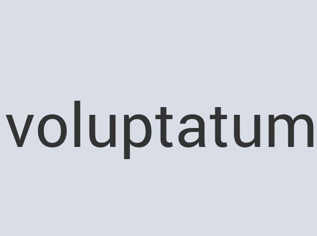 Practical Silk GoTee