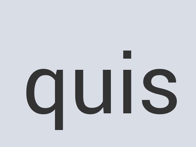 Durable Silk Happy Hair