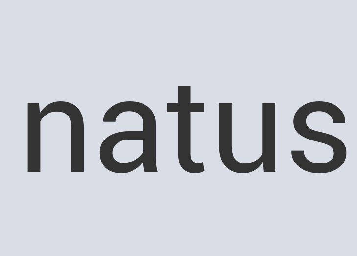 Aerodynamic Steel Entality