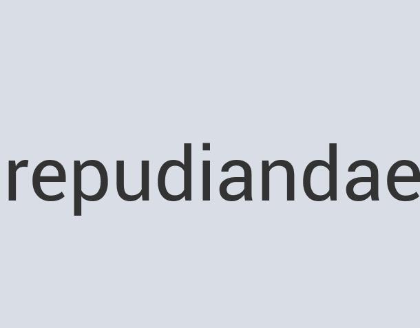 Lightweight Aluminum Comsomme