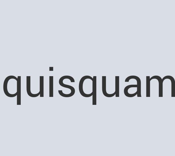 Fantastic Rubber Orangutan